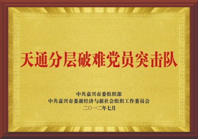 “正点游戏分层破难党员突击队”